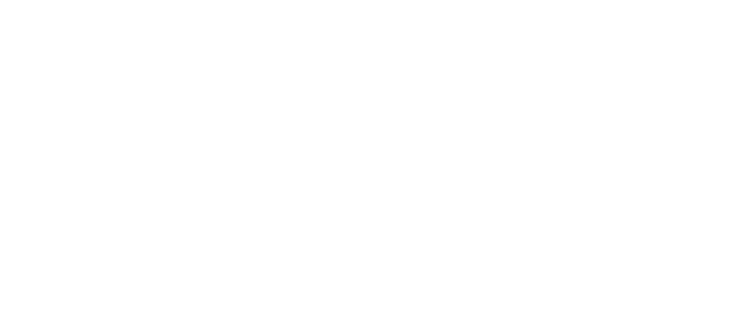 logo-2